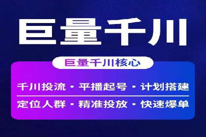 竞价托管服务对比：不同平台的优劣分析